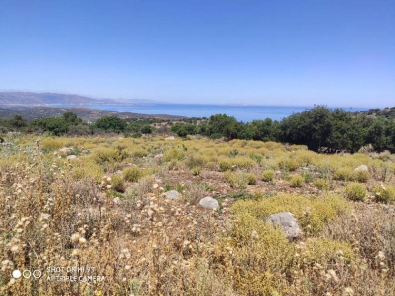 Kounali Kreta, Kounali: Baugrundstück mit Meerblick in ruhigem Dorf zu verkaufen Grundstück kaufen